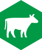 2018-04-12_Lohmann_Website_Produktion-Icon-Kuh